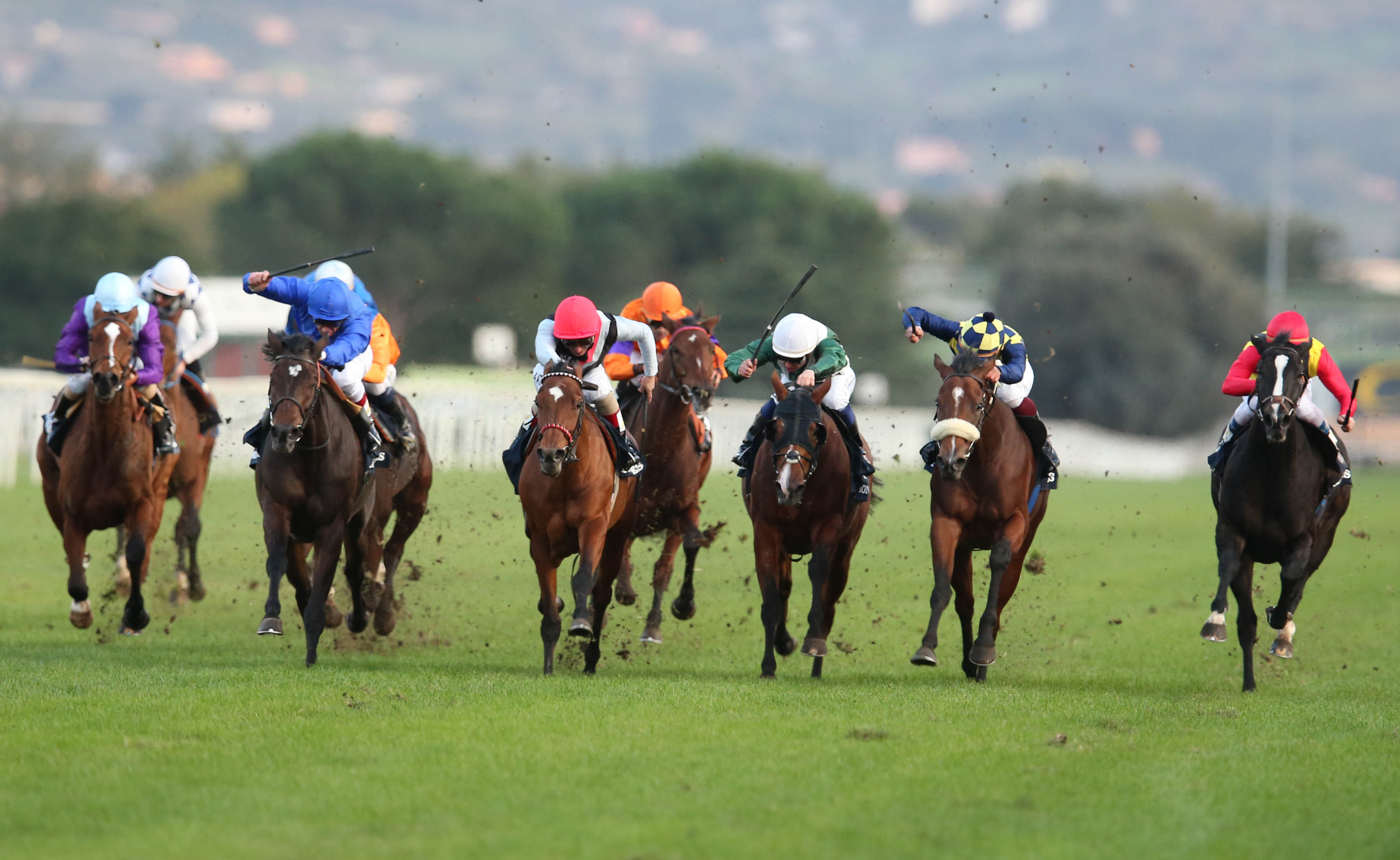 Ippica: all’Ippodromo SNAI San Siro si conferma Torna a Surriento